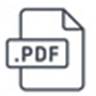 ICONS PDF